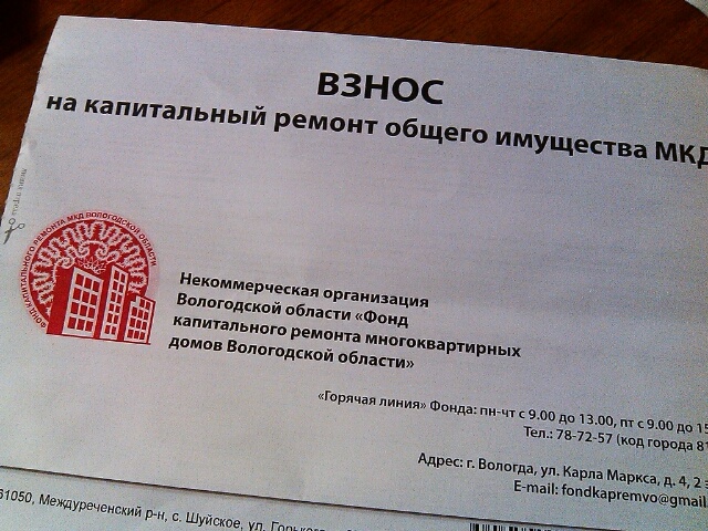 *Фото с сайта newsvo.ru