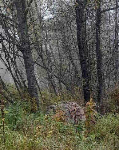    фото: Прокуратура РХ Kristina