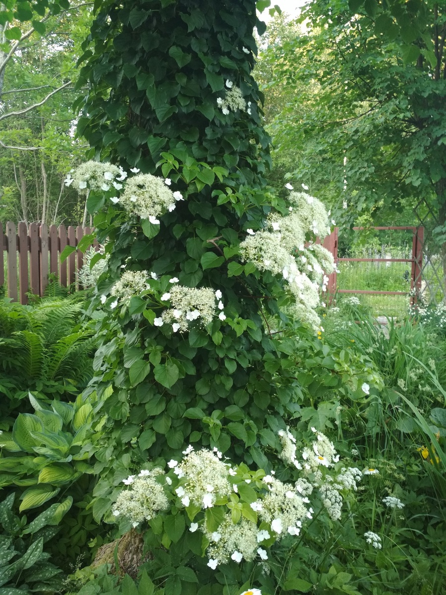 Фото взято из открытых источников