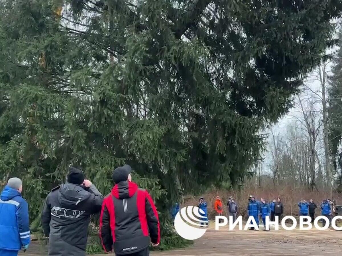    Главная новогодняя ёлка страны в Подмосковье | © РИА Новости