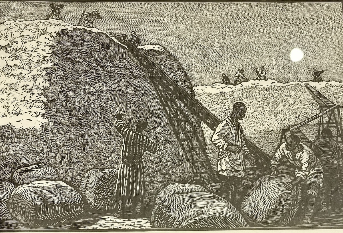 Л.А. Ильина. Белое золото. Киргизия. Начало 1960-х