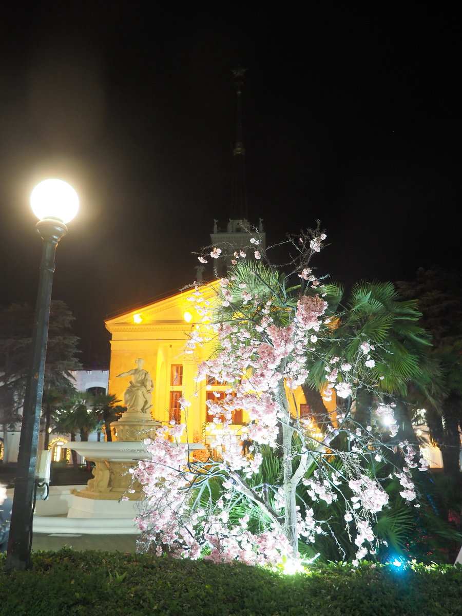 Морвокзал Сочи