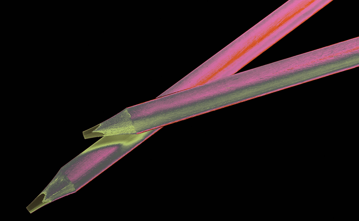 Фото: Shutterstock