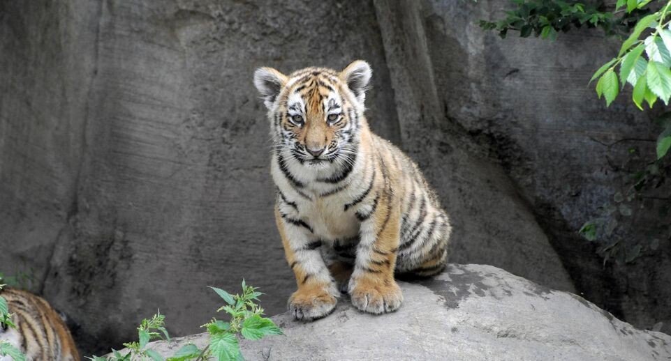    Egon Bömsch/imageBROKER.com / www.globallookpress.com