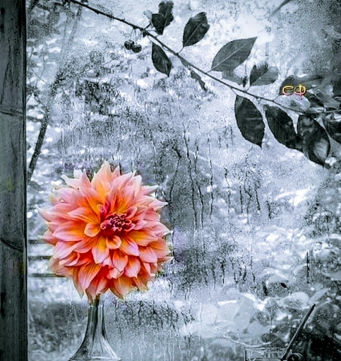 Изображение из Pinterest.ru