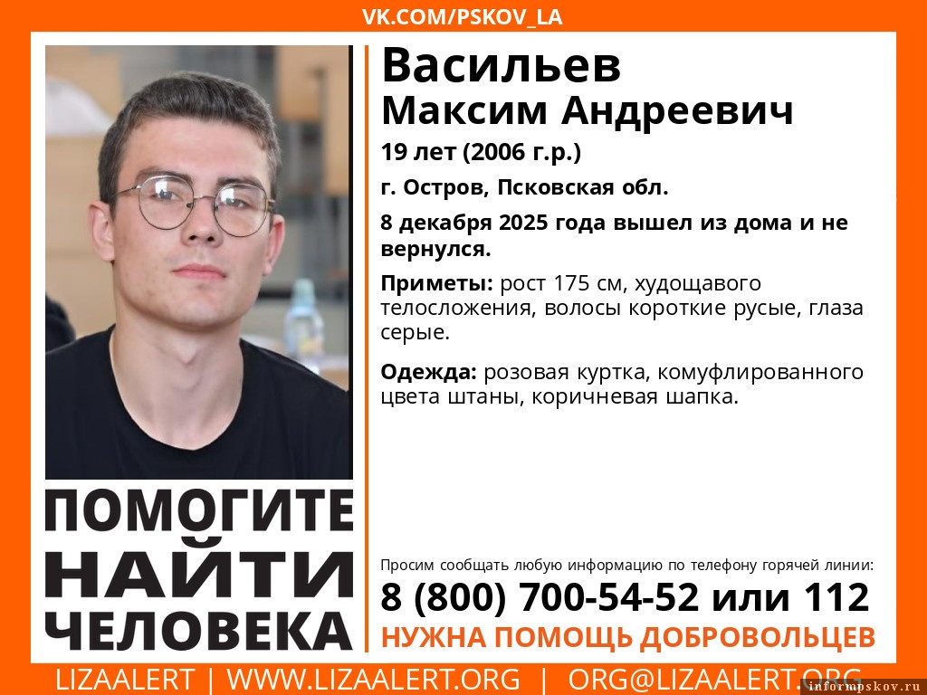 Фото: поисковый отряд «ЛизаАлерт» в Псковской области