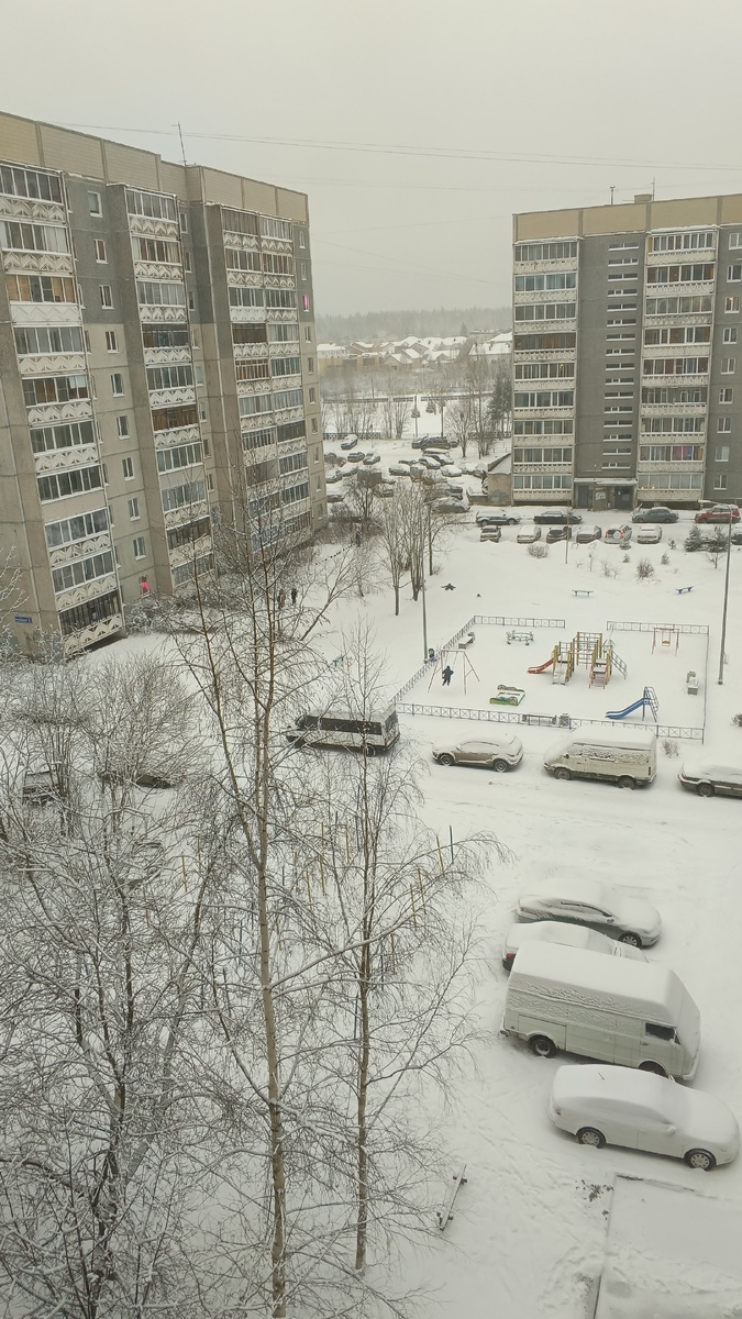 фото автора: зима пришла к нам в Карелию