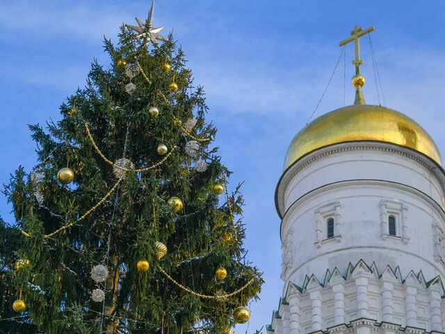    Фото: Москва 24/Антон Великжанин
