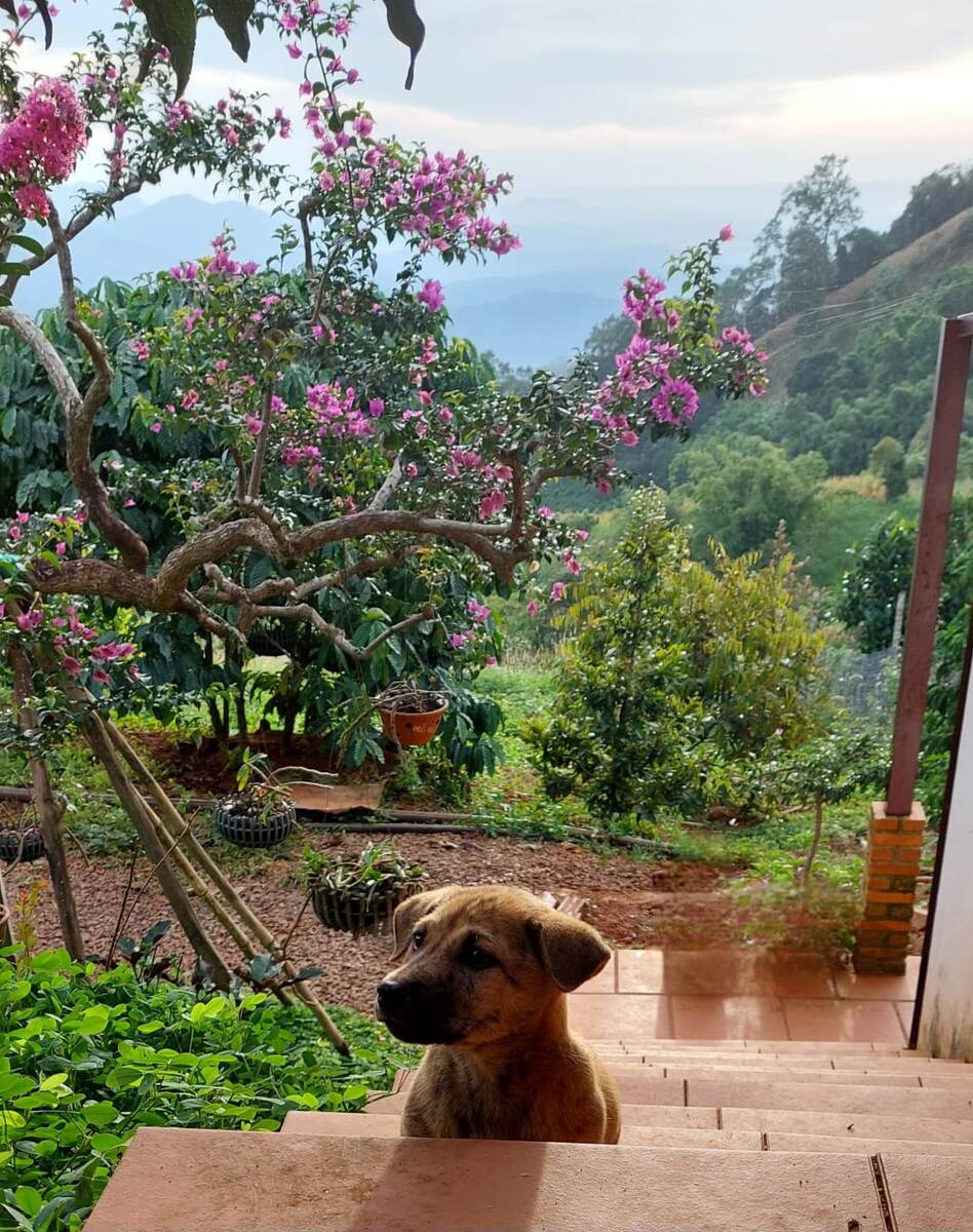 Пишу эту статью и сразу выкладываю, без черновика) 