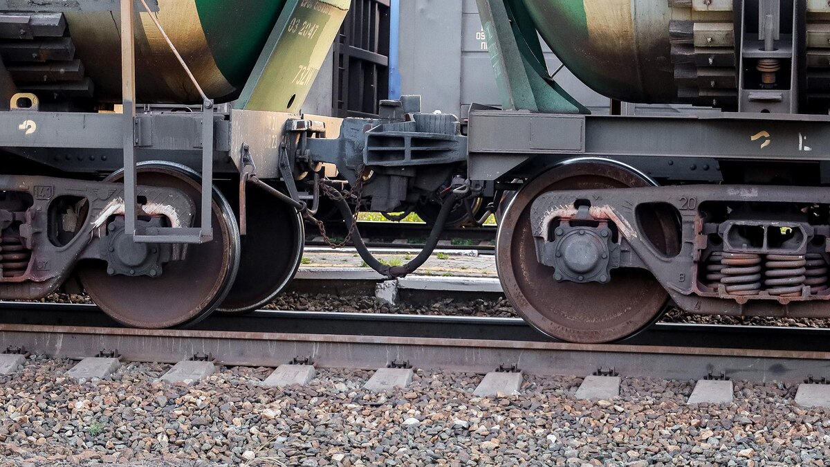    Фото: Elena Mayorova/globallookpress.com