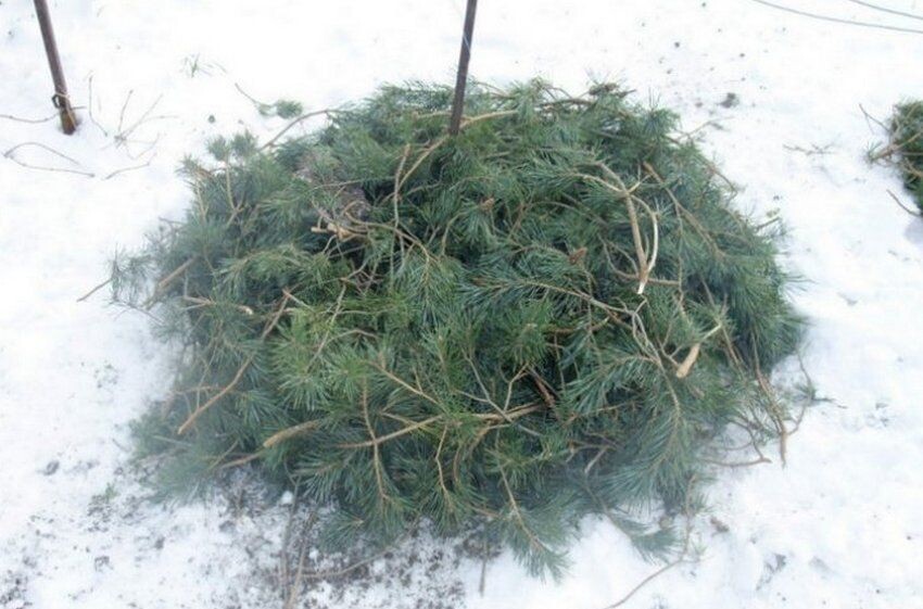 фото из открытых источников