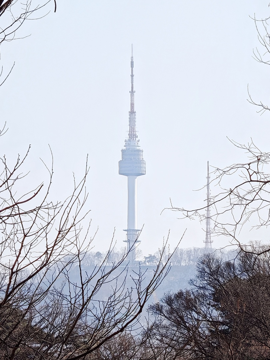 Вид на башню от дворца Чандок