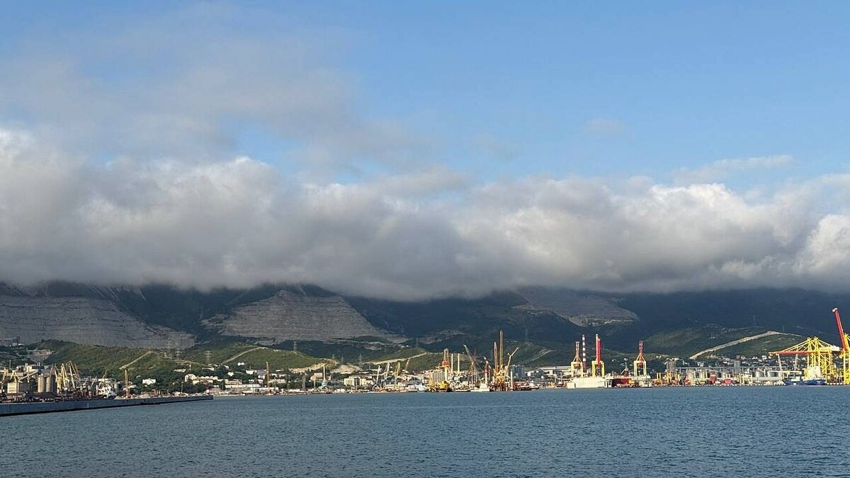    Фото: телеканал «Краснодар»