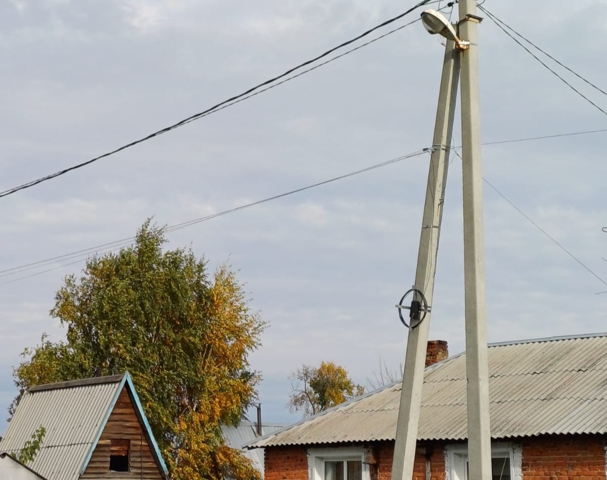 Фото предоставлено Светланой Игнатьевой