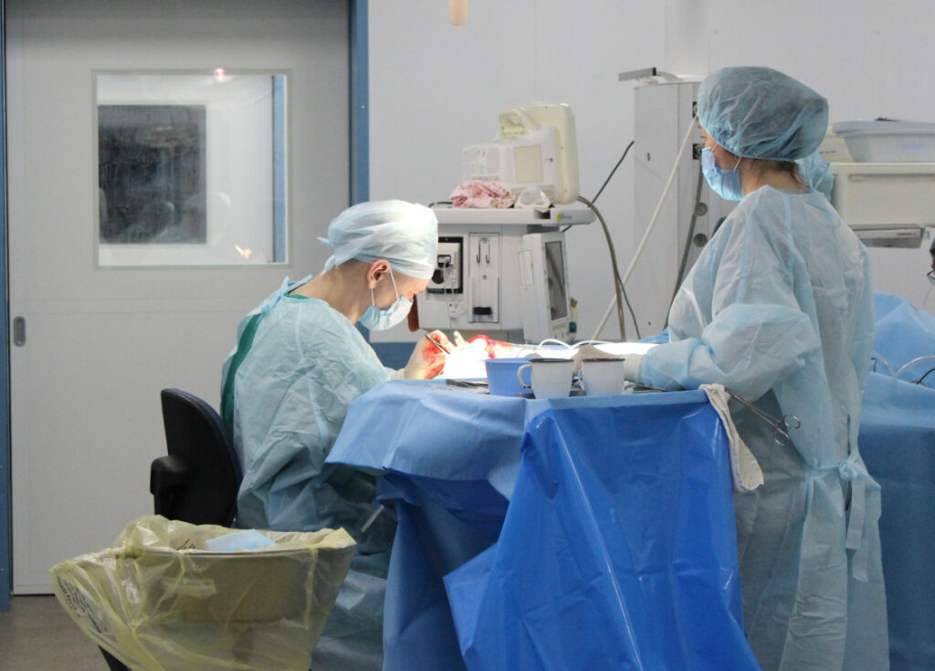    Фото: Правительство Пермского края / сайт Ольга Гилёва