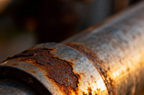    Фото: freepik. com