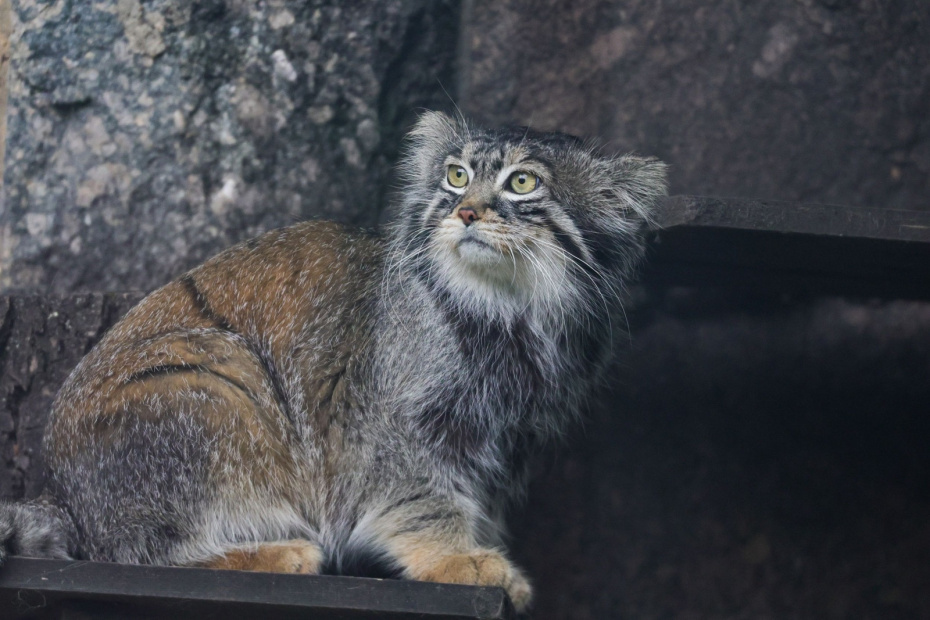    Наталья Шатохина/NEWS.ru