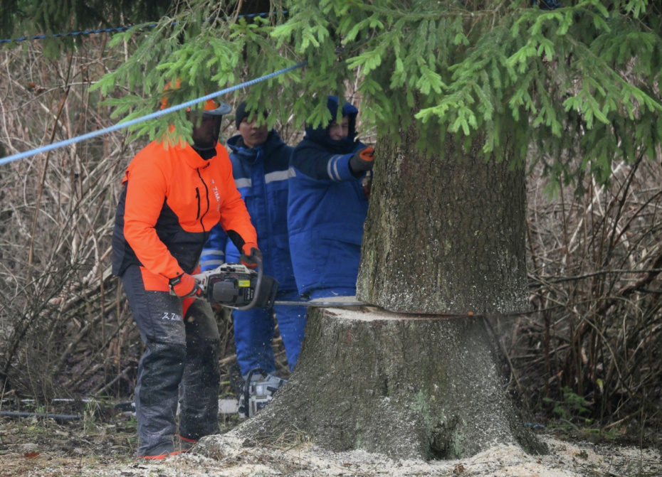    Евгений Биятов/РИА Новости