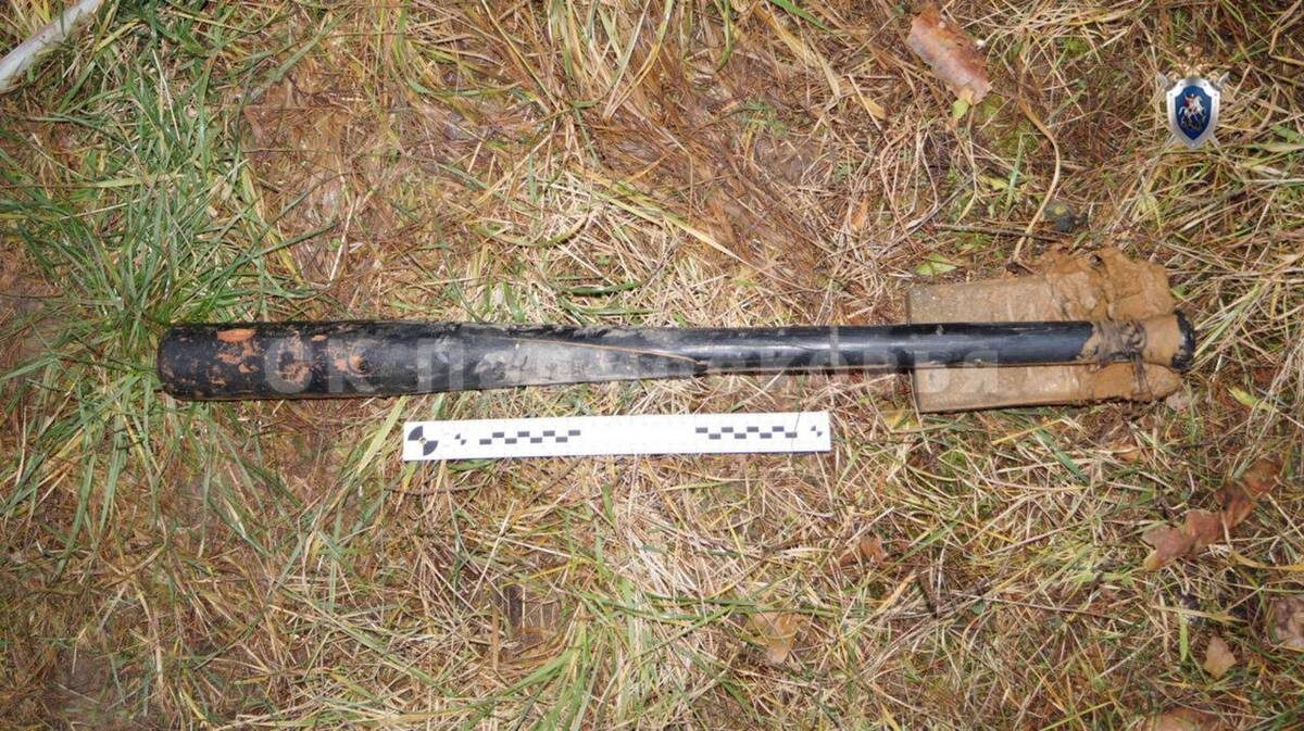    Фото: пресс-служба Следственного комитета России по Московской области / Telegram