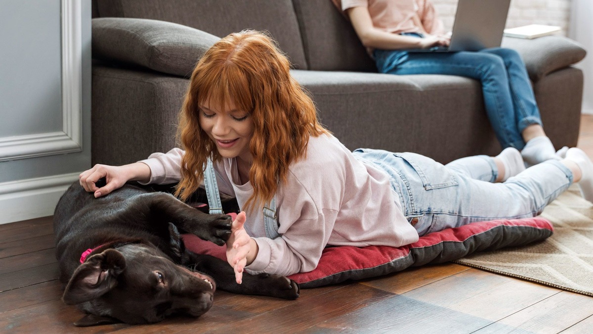    Наиболее важно наличие собаки в семье с подростком, которому 13 лет