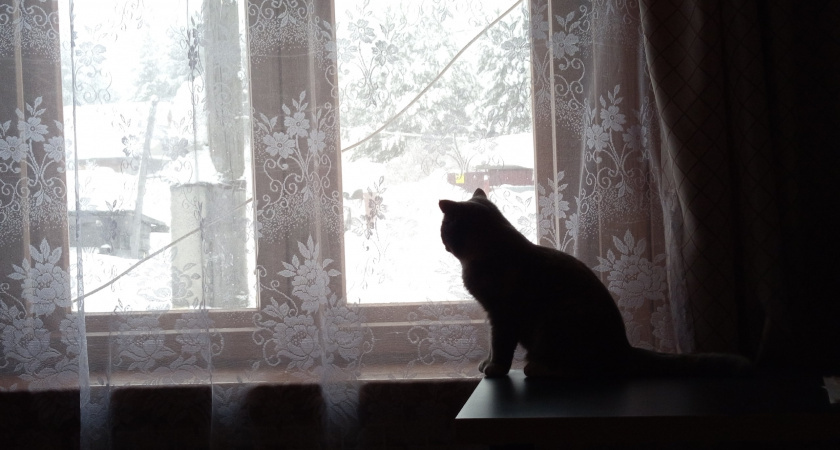    Фото из архива нашей редакции