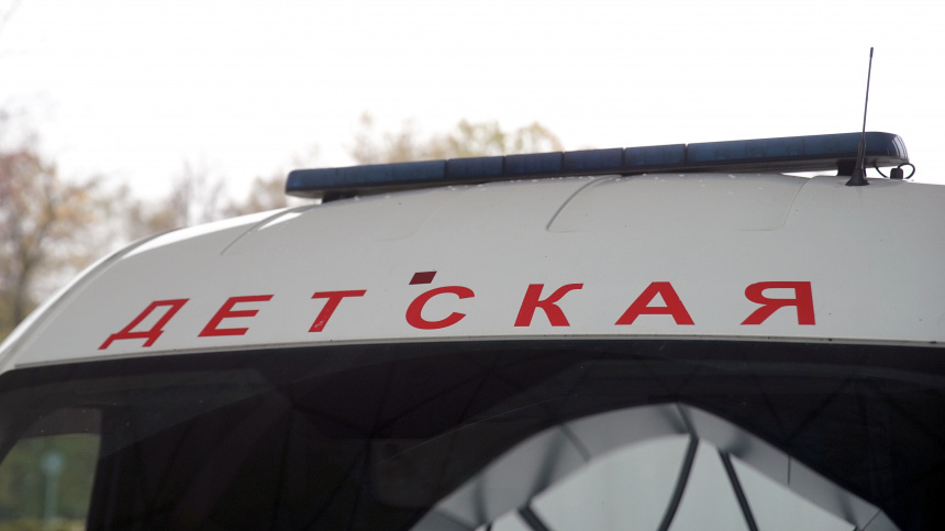    Фото: ИЗВЕСТИЯ/Эдуард Корниенко