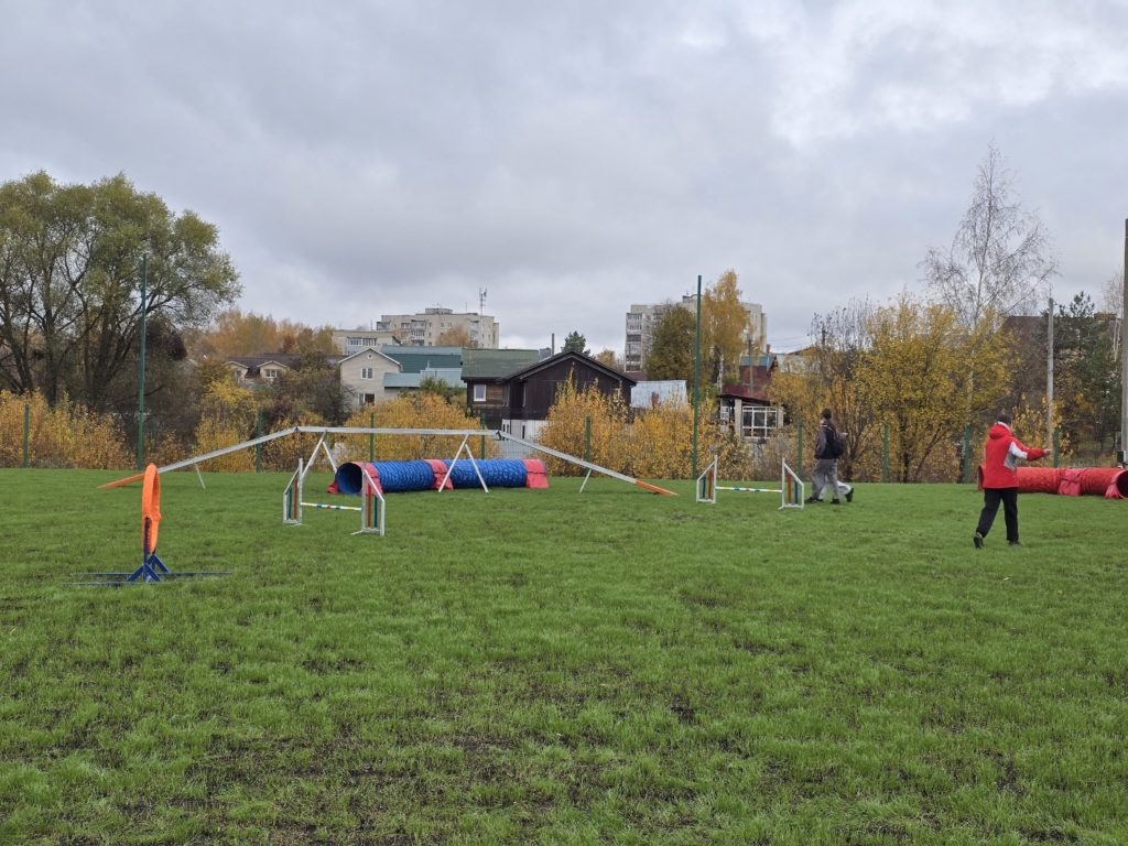    Фото: Аджилити в Костроме