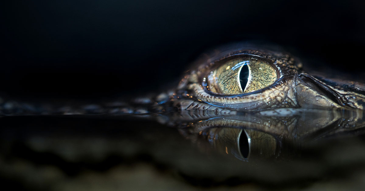 David Clode / Unsplash