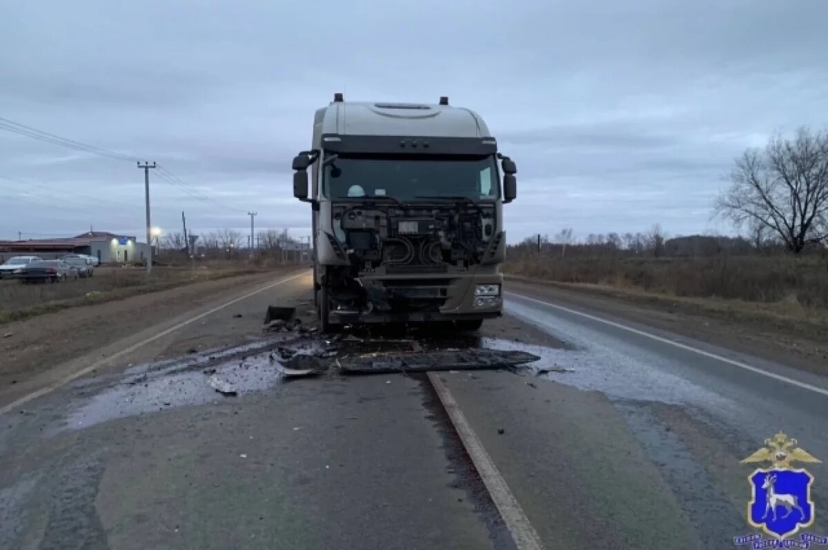    В Самарской области в ДТП Renault Logan с грузовиком погиб водитель