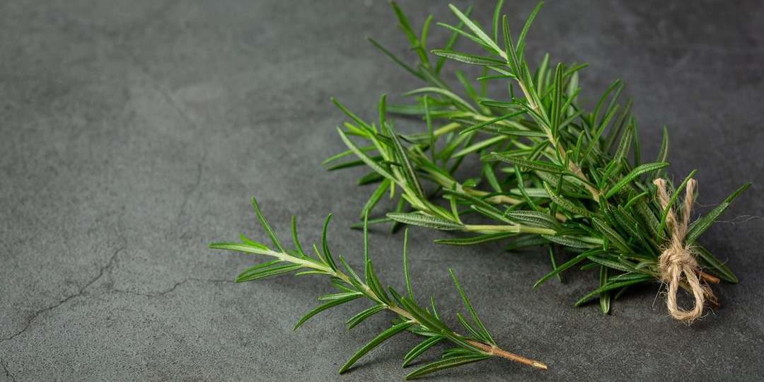 Популярный в сети миф о розмарине оказался правдой