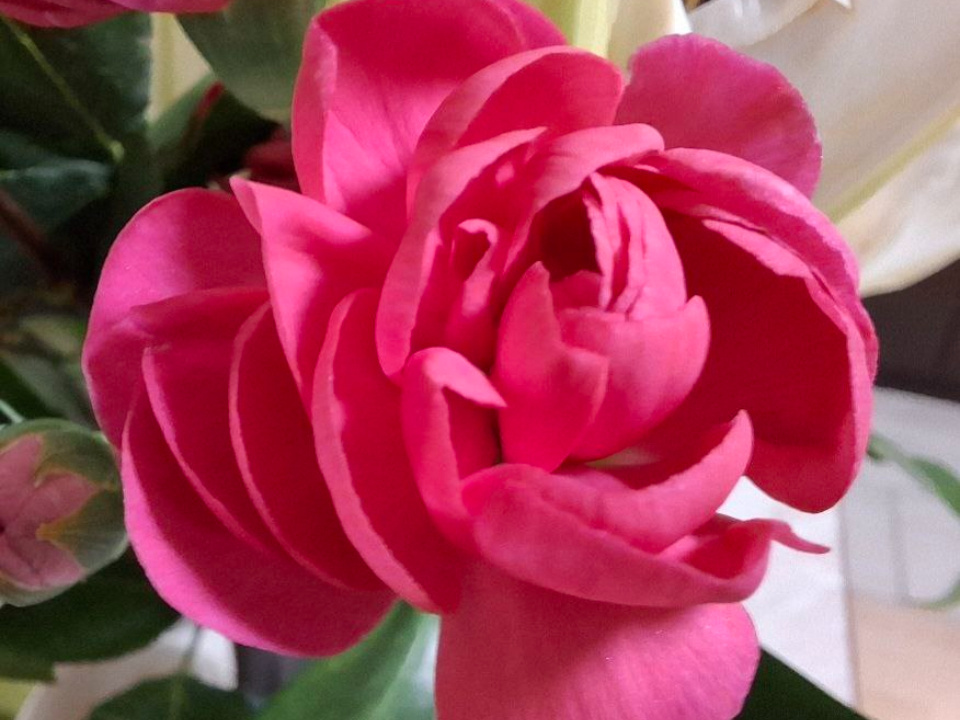    Фото: REGIONS/Юлия Габбасова