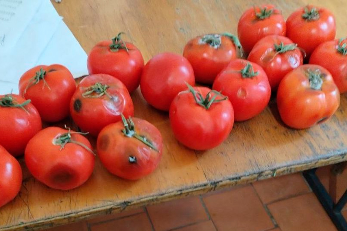    Фото: Генпрокуратура