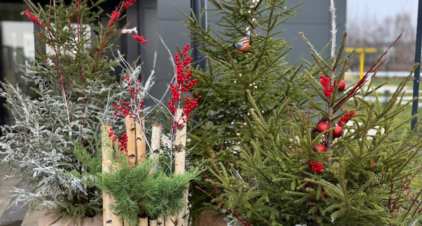    Фото: ПроГород