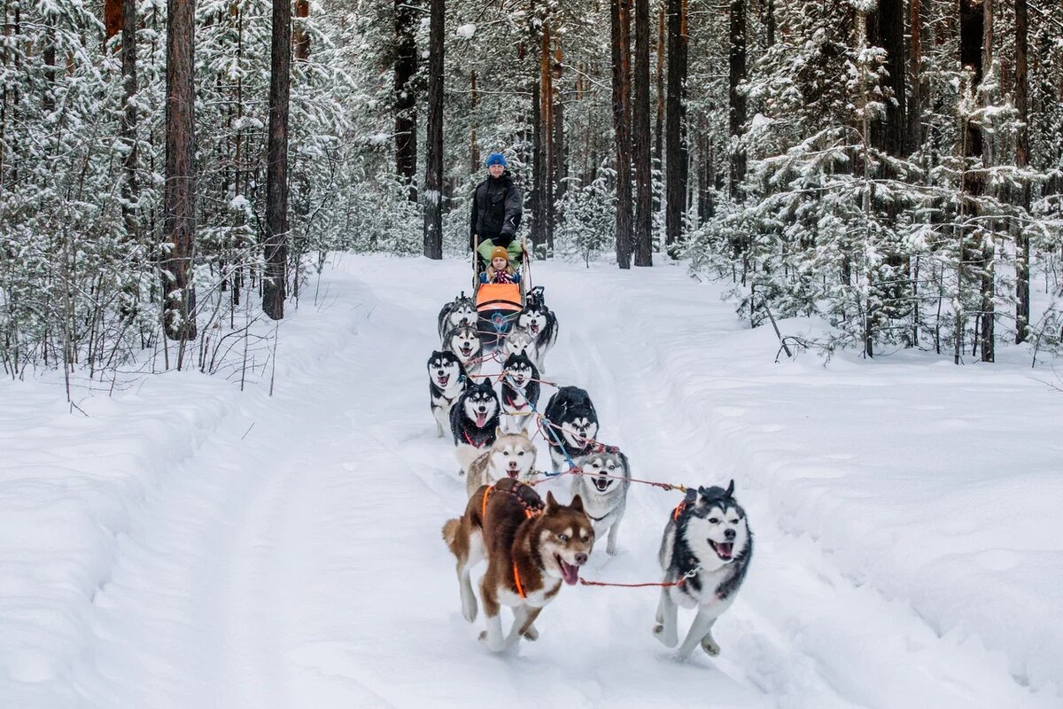 фото: Валерий Степанюк