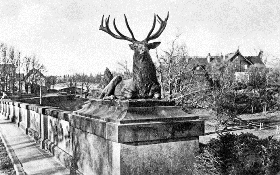 Историческое фото бронзовых оленей.