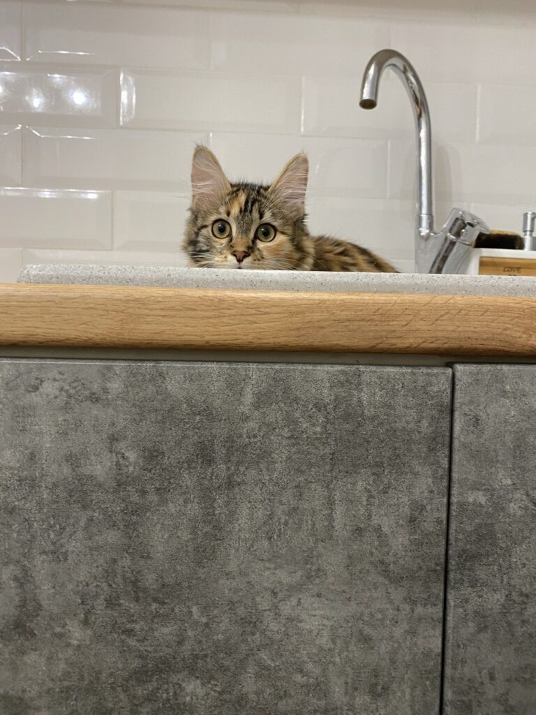    Фото: smolnarod.ru