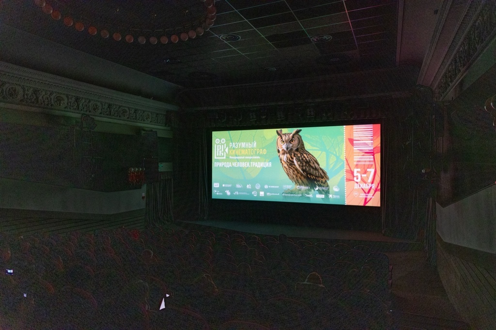 Фото: медиагруппа «Красный квадрат»