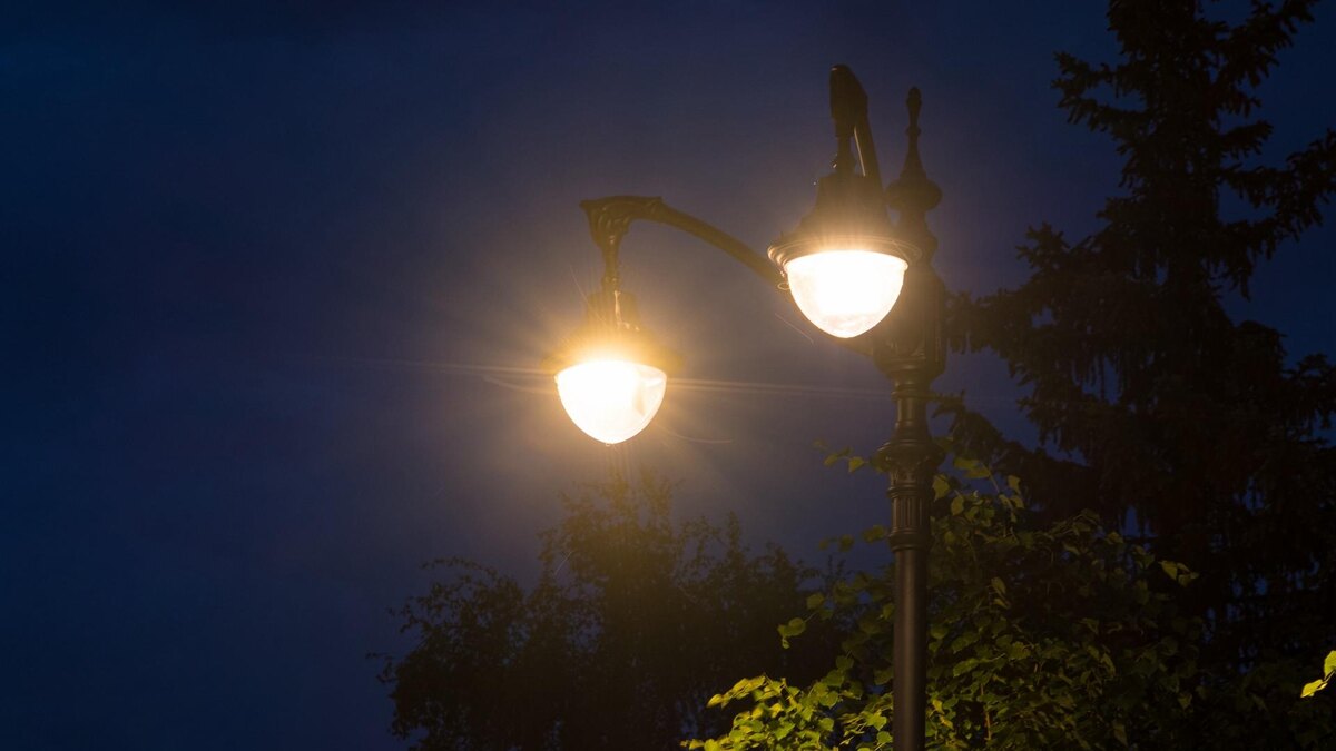    Фото: СПб ГБУ "Ленсвет"