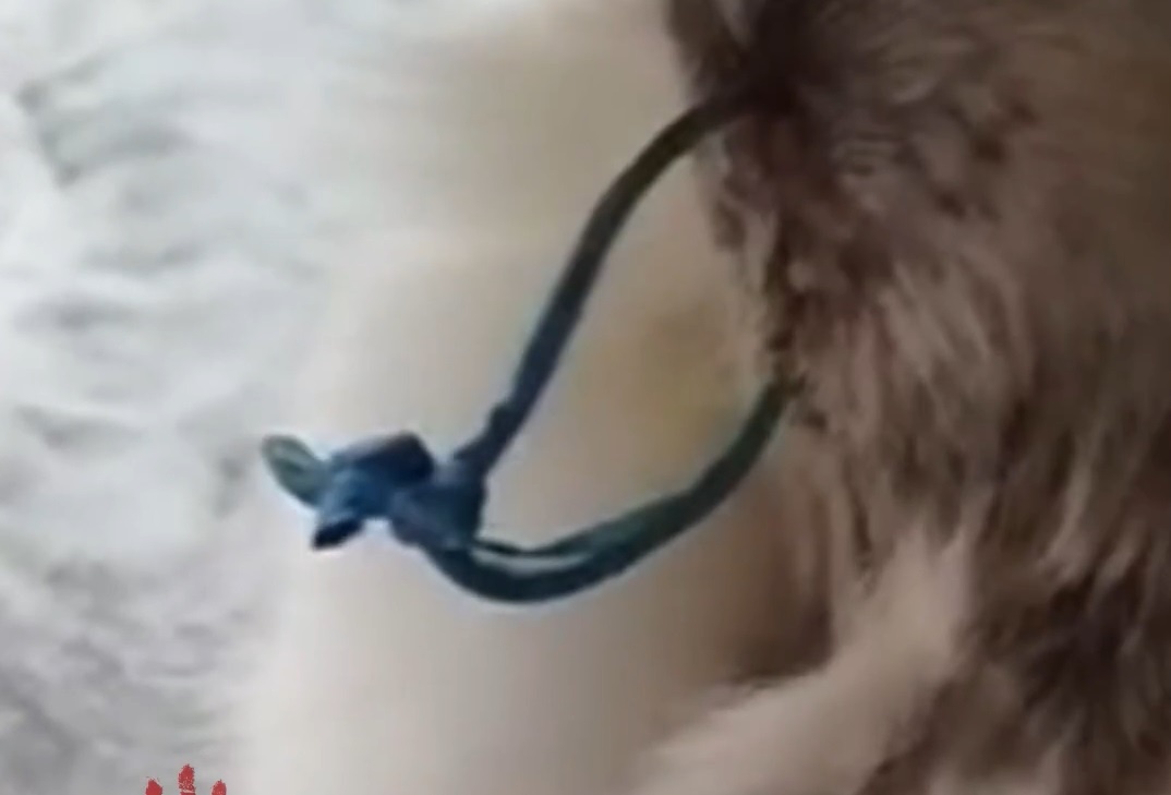 Вот та самая веревка