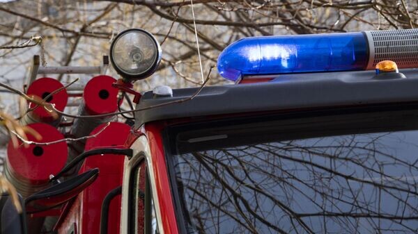    © РИА Новости Крым . Дмитрий Макеев