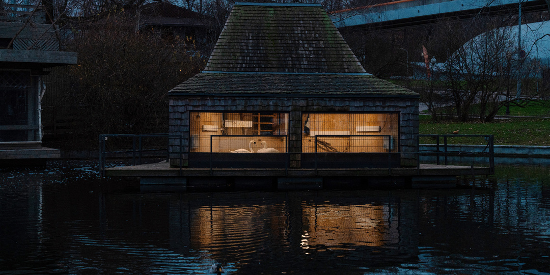 Теплые домики и специальное меню: как зимуют обитатели вольеров в столичных парках