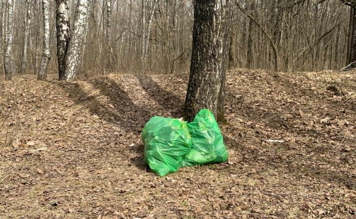    фото Курские известия