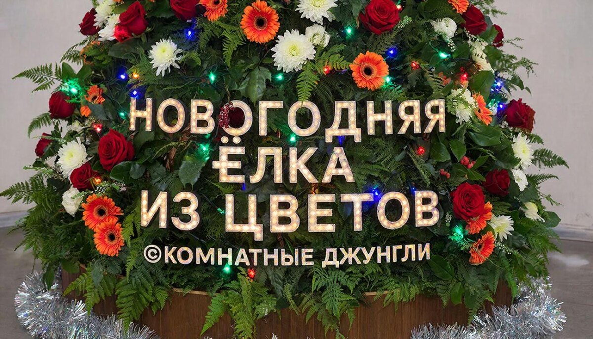 ©Комнатные джунгли