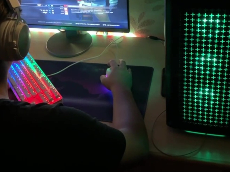    Фото: МедиаБанк Подмосковья/Ксения Казакова