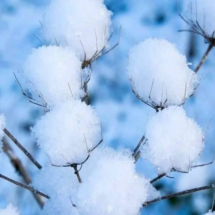 Сила мысли мощная вещь..