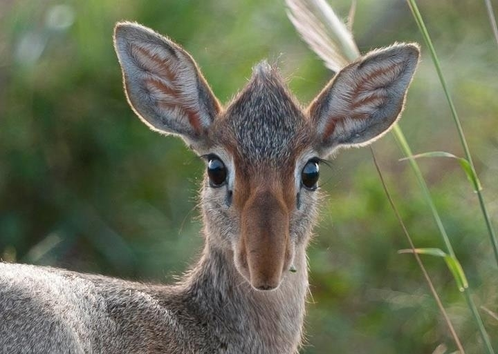 ������ �������: ������, ������� �������� �������� �� �������� ������, �� ���������� ���������. ����� ����: ������� �������. 