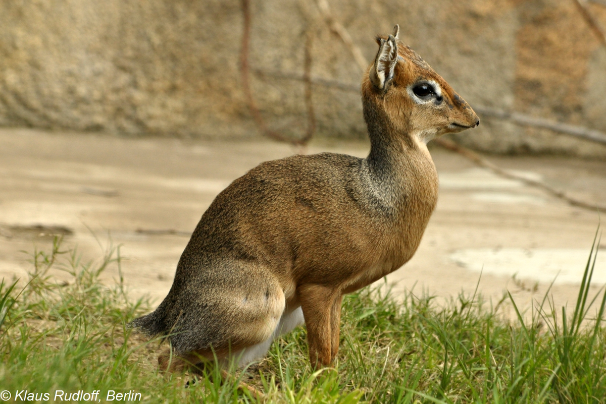 ����, �� � � ������ ����! 