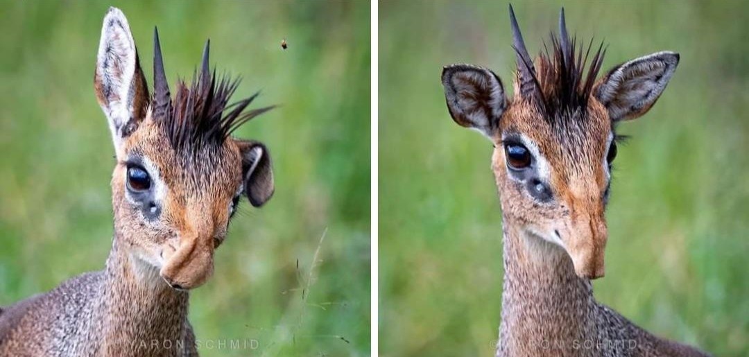 ������ ���������� ������ ����� ��� �������? ��� �� �������, ��� ������, �������� ������� ����� ����������. 