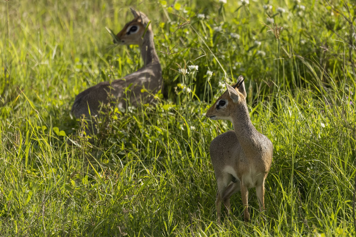 ����� �� �����, � ��� ������������ �������� ����-�� �&nbsp;�������. ���� ������� ���������. ���������, 2024. �����: ������� �������. 