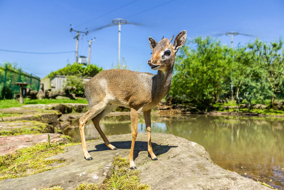 ��-�� ����, ��� ����� ���� ������� �� ��� ����� ����������, �������� ������ ���� ��������. 